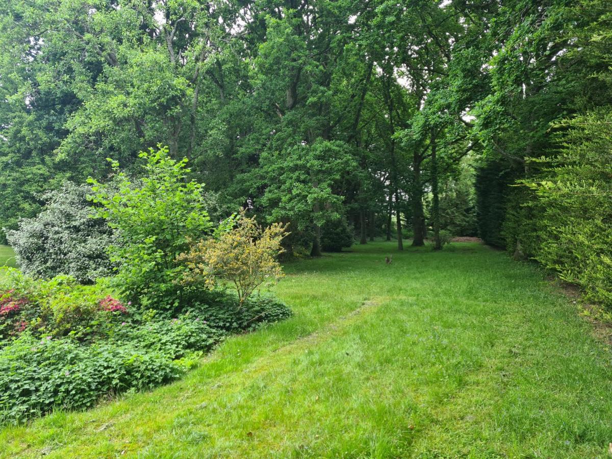 The Reading Whole Apartment With Private Lake And Gardens Zewnętrze zdjęcie