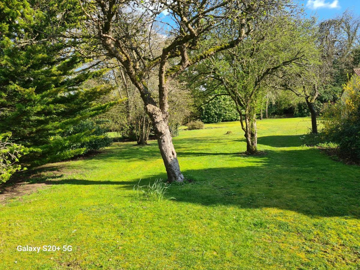 The Reading Whole Apartment With Private Lake And Gardens Zewnętrze zdjęcie